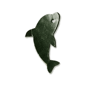 Dolphin