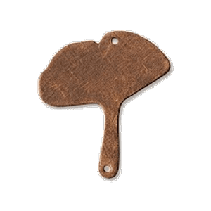 Ginkgo Leaf
